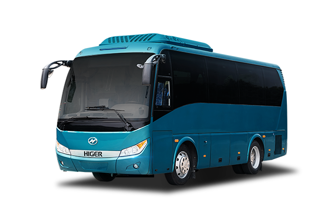 higerminibus
